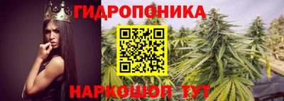 прущий лед Сланцы