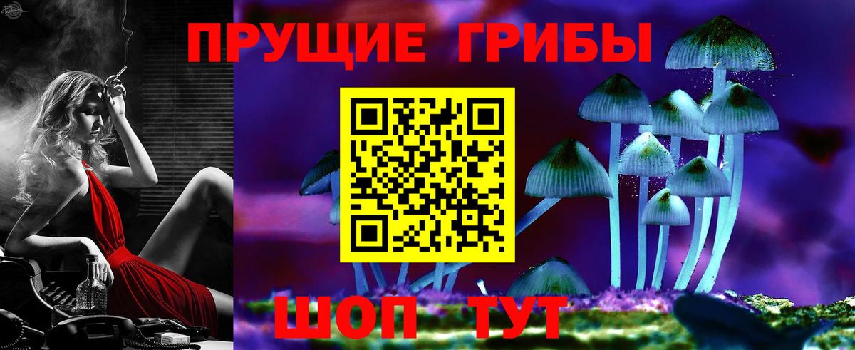 Пыть-Ях  Псилоцибиновые грибы MAGIC MUSHROOMS  Вход с VPN  Галлюциногенные грибы мухоморы 
